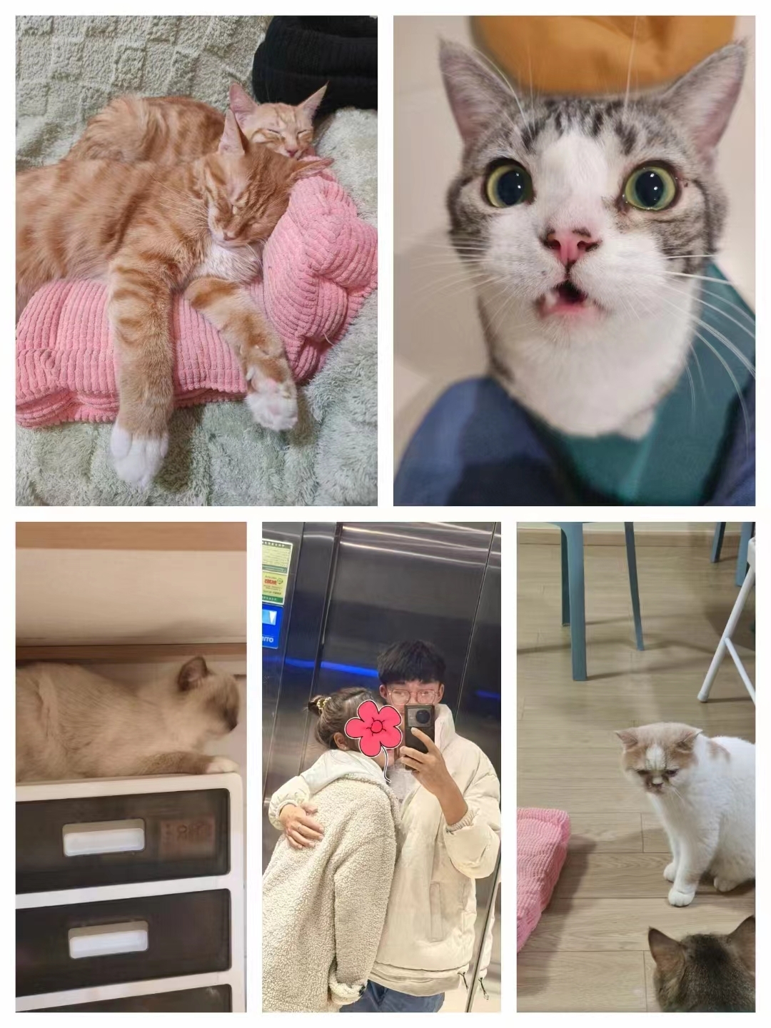 image-20240112112206801