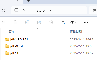 image-20250211202924861